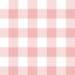 Mini Blush Pink Gingham Check f2b8b8