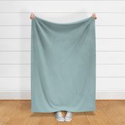 Turquoise solid - single color - turquoise, blue, green coordinate 