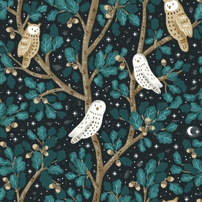 LARGE Darkest Owls and Moon in a Starry Night - DARKEST Background