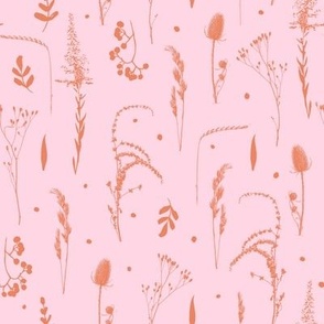 Prairie Plants Orange on Pink