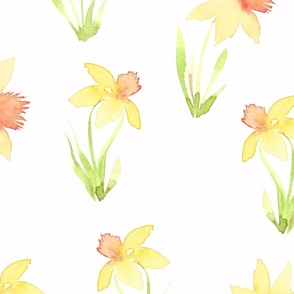 daffodil watercolor -handpainted-2024