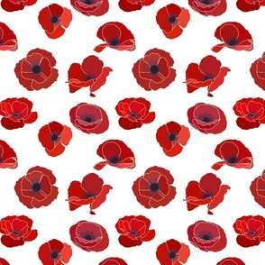 Red Poppies