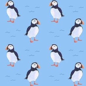 (s) Puffin Sea Birds on Soft Blue