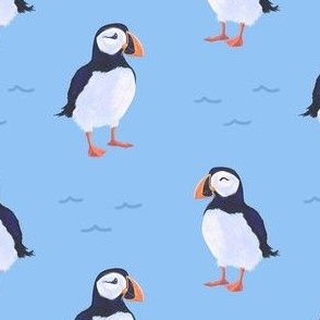 (M) Puffin Sea Birds on Soft Blue