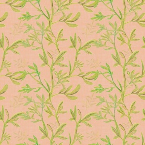 Green leafy climbing vine on peach background -  Medium size