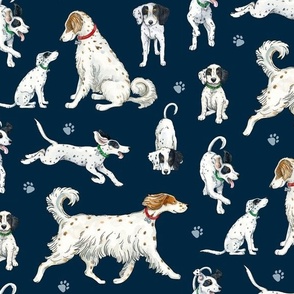 English setters on navy