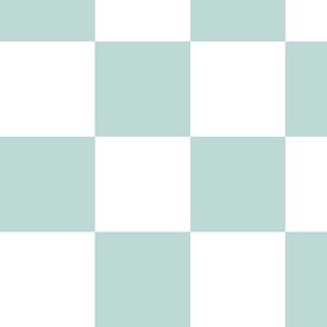 (L) Classic Large Check 5" in Pastel Green and White, Racing Checkerboard