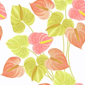 Watercolor Anthuriums on white