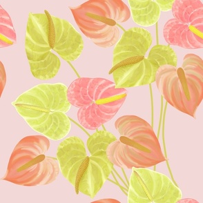 Watercolor Anthuriums on pink
