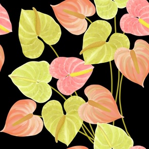 Watercolor Anthuriums on black