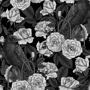 Ravens and white roses