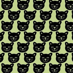 Black cat faces in rows halloween design on lime green