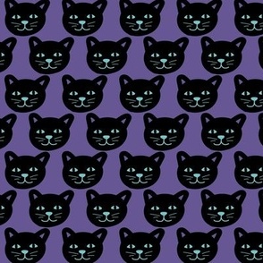 Black cat faces in rows halloween design turquoise on purple