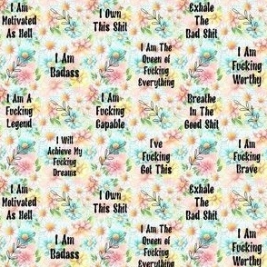 Small Scale Sweary Positive Affirmations