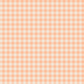 Sm. Peach Fuzz Gingham Checks Pantone Color of the Year 2024 - Small Scale 