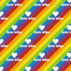 diagonal rainbow stripes with typo "love wins" | small