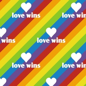 diagonal rainbow stripes with typo "love wins" | medium