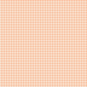 X-Sm  Peach Fuzz Gingham Checks Pantone Color of the Year 2024 - X-Small Scale 