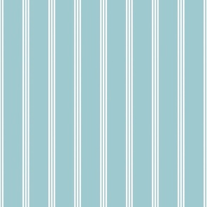 Smaller Vertical Pinstripes in Baby Blue