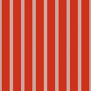 Smaller Vertical Pinstripes in Rustic Red