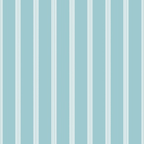 Bigger Vertical Pinstripes in Baby Blue