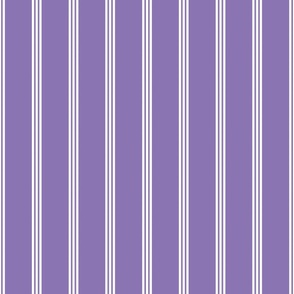 Bigger Vertical Pinstripes in Violet