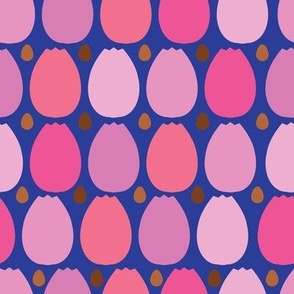 pink tulips and chocolates on royal blue background