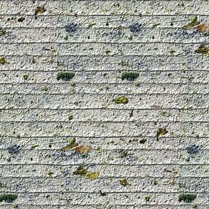 Lichen Covered Ribbed Concrete