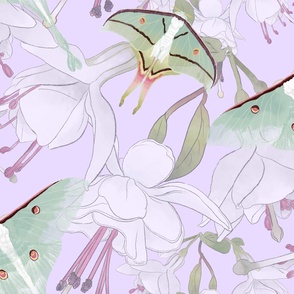 The Beauty of India -  Luna Moths &  Fuchsia on Light Lilac (Large Format)