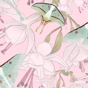 The Beauty of India -  Luna Moths &  Fuchsia on Light Pink (Large Format)
