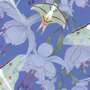 The Beauty of India -  Luna Moths &  Fuchsia on Dusty Blue (Large Format)
