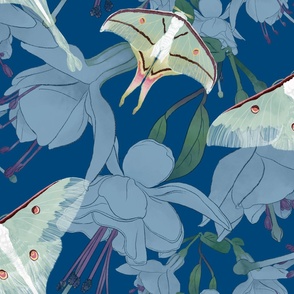 The Beauty of India -  Luna Moths &  Fuchsia on Rich Teal Blue (Large Format)