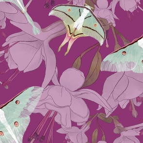 The Beauty of India -  Luna Moths &  Fuchsia on Dark Mauve (Large Format)