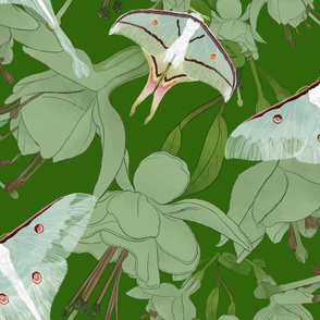 The Beauty of India -  Luna Moths &  Fuchsia on Rich Green (Large Format)