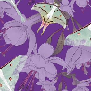 The Beauty of India -  Luna Moths &  Fuchsia on Plum (Large Format)