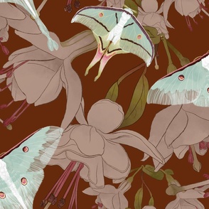 The Beauty of India -  Luna Moths &  Fuchsia on Dark Chestnut (Large Format)