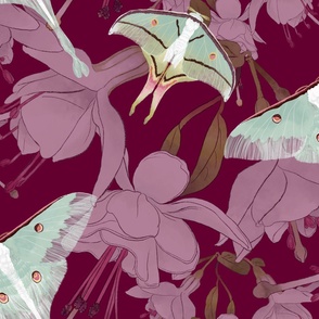 The Beauty of India - Luna Moths &  Fuchsia on Burgundy (Large Format)