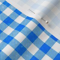 Watermelon Slices on Blue Gingham (Large)