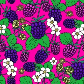 RASPBERRIES AND BLACKBERRIES-PINK