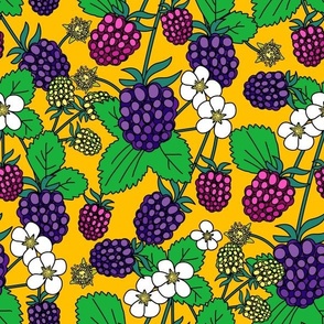 RASPBERRIES AND BLACKBERRIES-YELLOW