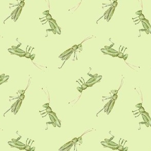 grasshopper in green