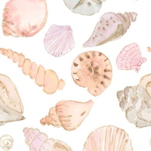 seashells large scale