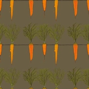 A Row of Carrots on Grey