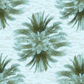Large Palms Over Water Coastal Decor Wallpaper in Calming Blue