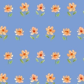 daisy chain on cornflower blue - pretty peach wildflowers - spring and summer floral