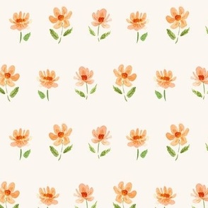 daisy chain on warm white - pretty peach wildflowers - spring and summer floral