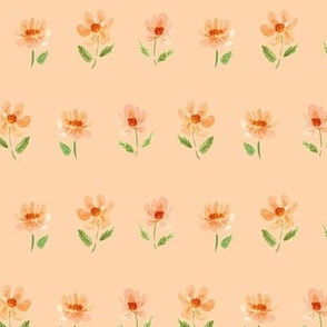 daisy chain in apricot - pretty peach wildflowers - orange spring and summer floral