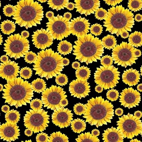 Sunflower Field on black (medium)