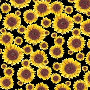 Sunflower Field on black (small)