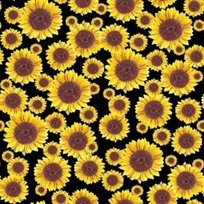 Sunflower Field on black (x small)